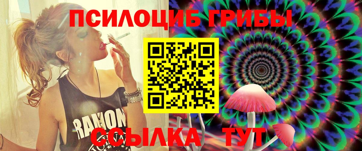 дарнет шоп  Галлюциногенные грибы ЛСД  Вход с VPN  Надым 